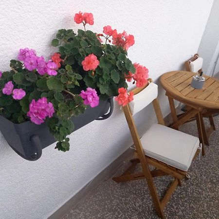 שיבניק Apartment Danijela מראה חיצוני תמונה