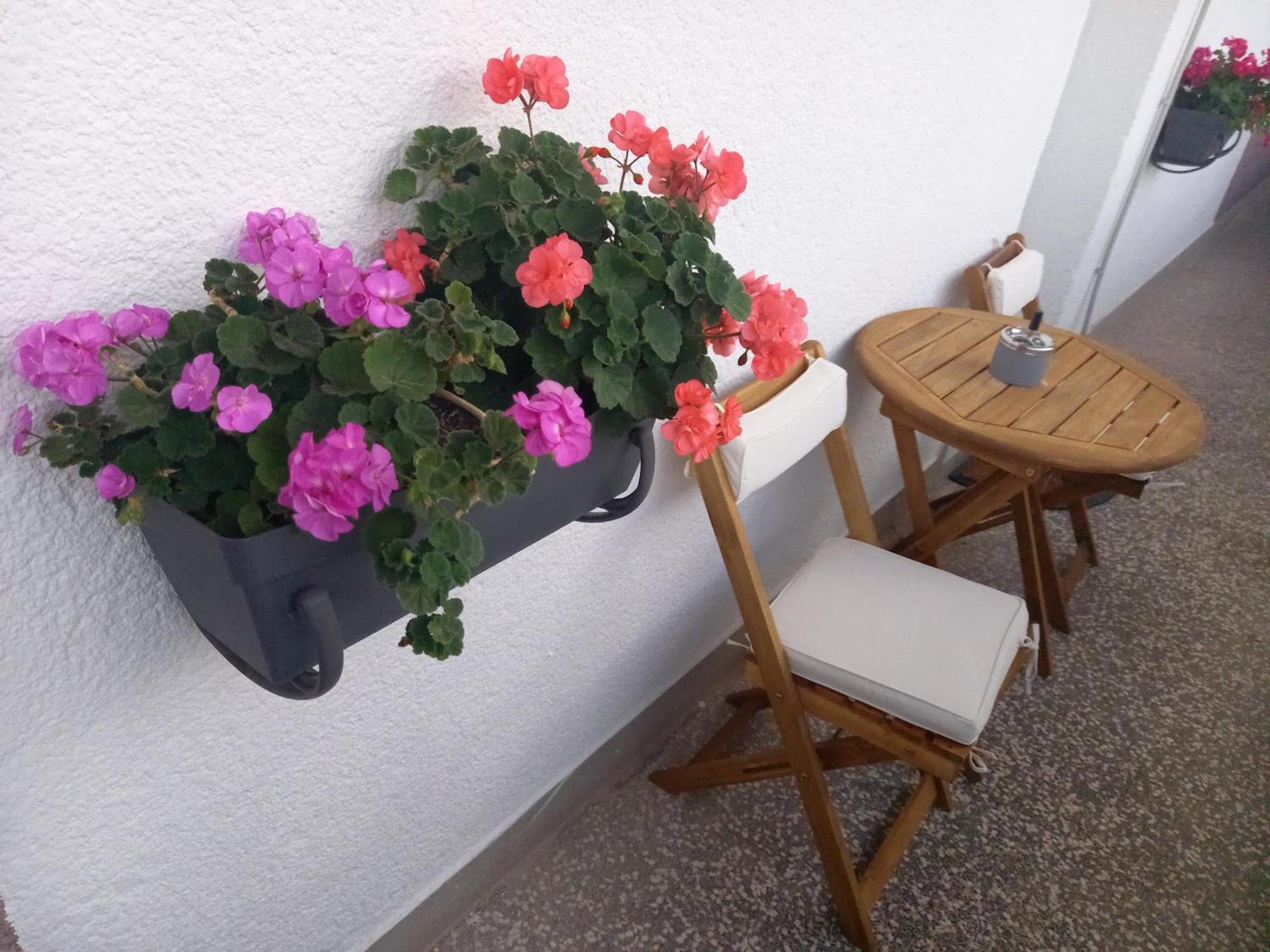 שיבניק Apartment Danijela מראה חיצוני תמונה